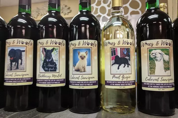 The Tour and Wine Tasting Experience at Aspirations Winery