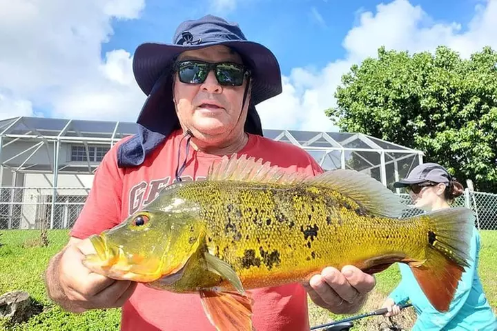 Peacock Bass Fishing Trips Near Key Largo