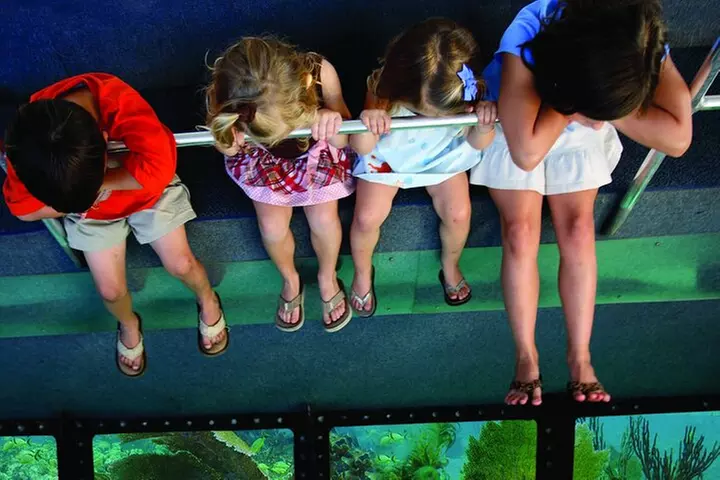 MIAMI: Key West Day Trip with Boating Options