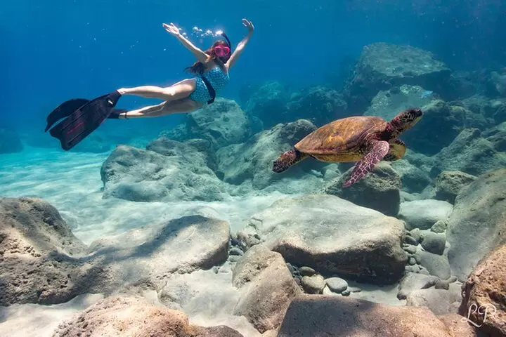 Turtle Gardens West Maui Snorkel Tour - Primary Image