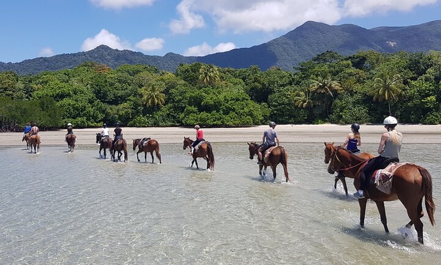 Image 4: Afternoon Beach Horse Ride in Cape Tribulation