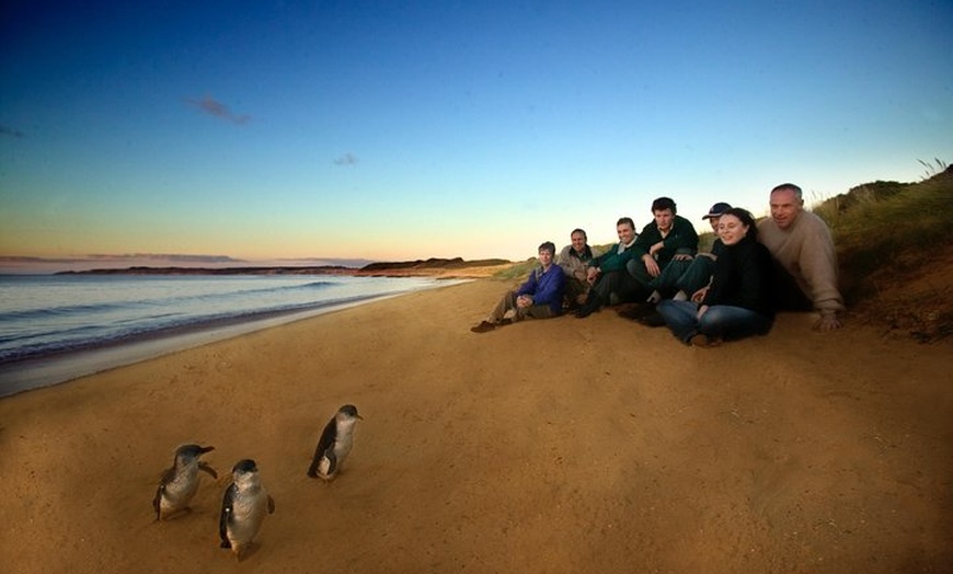 Image 1: Private Phillip Island Day Trip from Melbourne Including Penguin Pa...