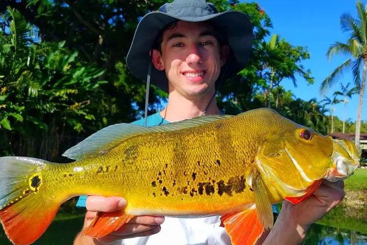 Peacock Bass Fishing Trips Near Key Largo