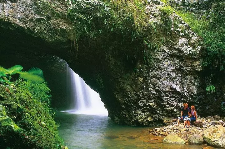 Natural Bridge Glow Worm Night Tour from Gold Coast - Second Medium