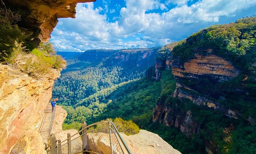 Image 4: Sydney: PRIVATE Blue Mountains, Wildlife & Cruise Luxe Tour (10h)