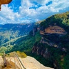 Image 4: Sydney: PRIVATE Blue Mountains, Wildlife & Cruise Luxe Tour (10h)