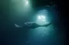 Manta Ray Night Snorkel Adventure in Kona