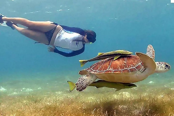 Tulum Ruins & Snorkeling with Sea Turtles Private Tour - Primary Image