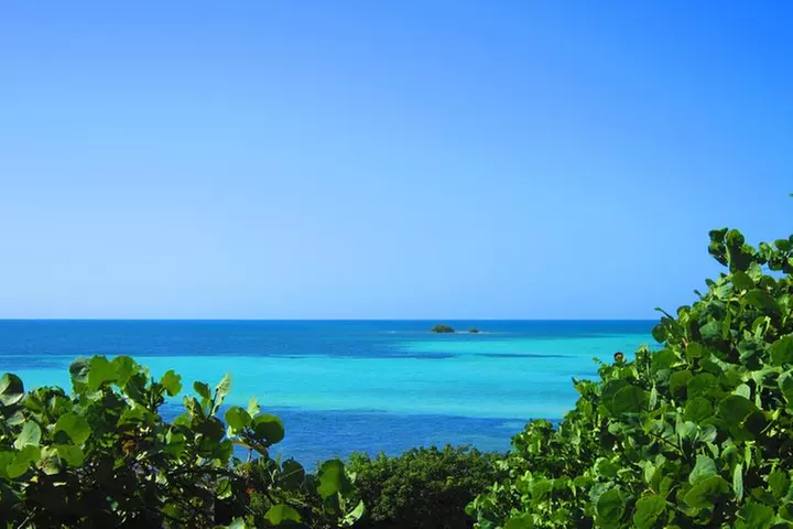 Full-Day Tour of Florida Keys Including Aquarium Encounters from Ke...