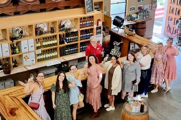 Full-Day Guided Wine Tour in Mt Tamborine From Gold Coast