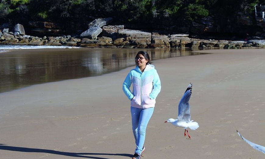 Image 2: Manly and more private tour