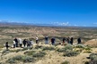 Kicking Red Canyon Wild Mustang Bus Tour Deals 8am Daily - Second Medium