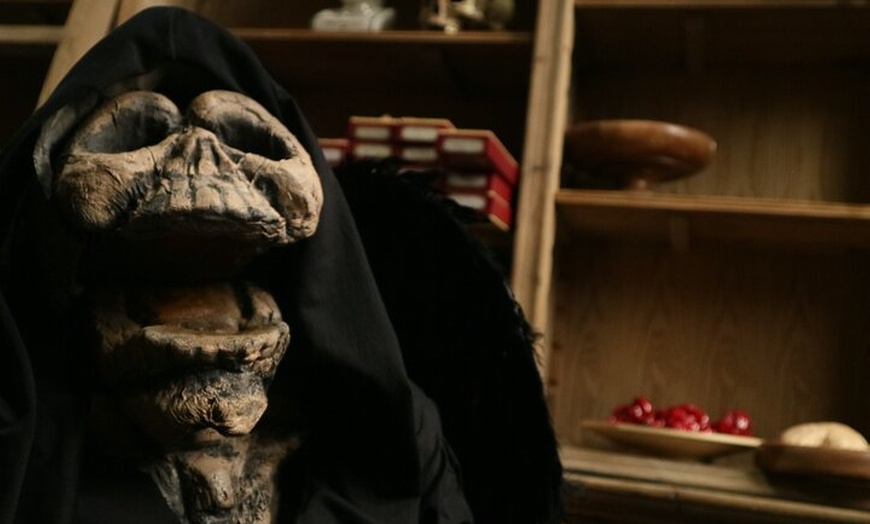 Image 2: Admission Ticket to Sick To Death in Chester