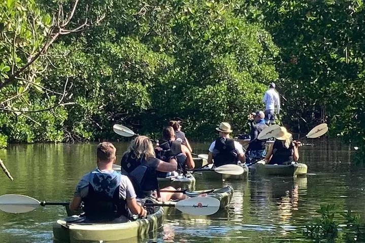 Kayak Tour Adventure Marco Island and Naples Florida
