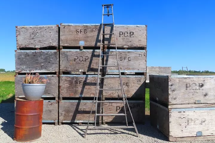 Driving in Delta's Wine Country: Private Self-Guided Audio Tour