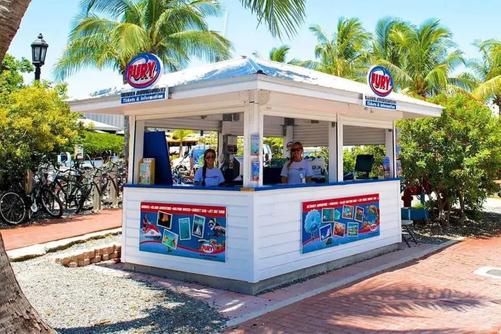 Key West Dolphin Watch and Snorkel Tour - Eco Adventure