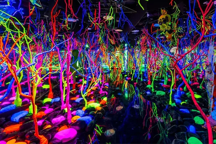The Real Unreal at Meow Wolf Grapevine