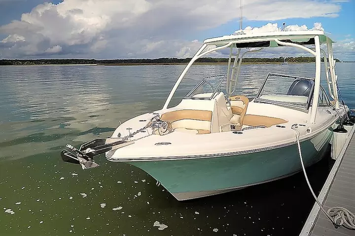 2-Hour Private Hilton Head Dolphin Watching Cruise