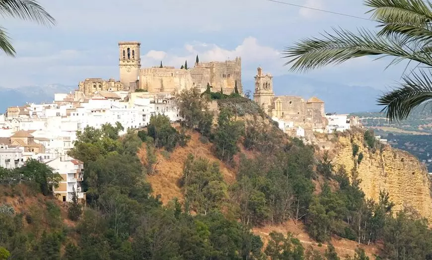 Image 18: Day trip privado a Arcos, Medina Sidonia y Vejer de la Frontera