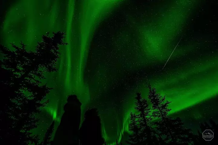 SkyChase™ Northern Lights Experience