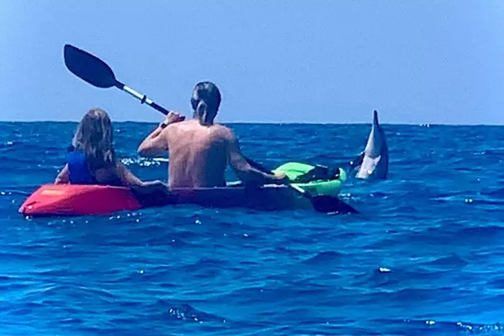 Clear Bottom Kayak Rentals in Kailua-Kona