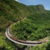 Image 4: Small Group Kuranda Tour via Kuranda Scenic Rail and Skyrail