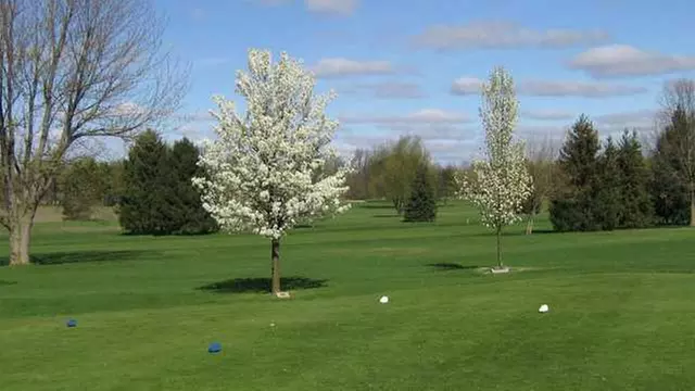 Online Booking - Round of Golf at Ridgeview Golf Course - Primary Image