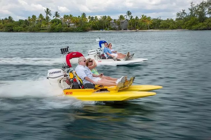Backwater Adventure's CraigCat Tours of the 10,000 Islands - Primary Image