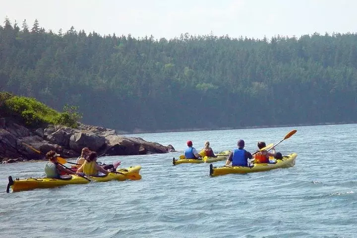 Aqua Safari Kayak tour departing Southwest Harbor - Second Medium