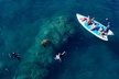 Guided Snorkeling Tour for Non-Swimmers Wailea Beach - Second Medium