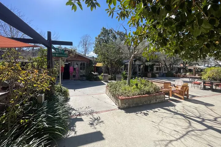 San Diego County Wine Tour (Private)