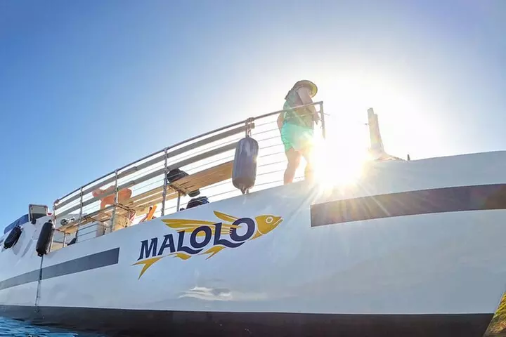 Maui Afternoon Snorkel Aboard Malolo to Molokini or Coral Gardens