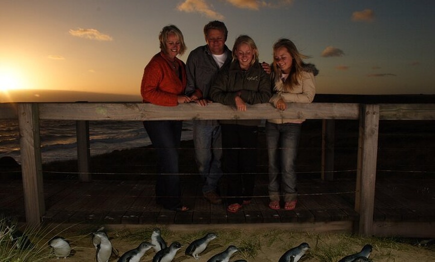 Image 8: Full-Day Phillip Island Tour with Kangaroo, Koala and Penguin Parade