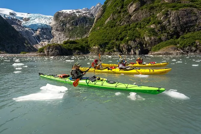 Kenai Fjords (Grand Day) Wildlife Cruise & Glacier Kayak Combo - Primary Image
