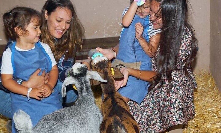 Image 6: Granjera o Granjero por un Día con Degustación