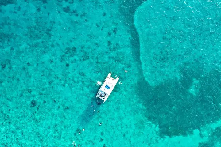 Key West Dolphin and Snorkel Experience
