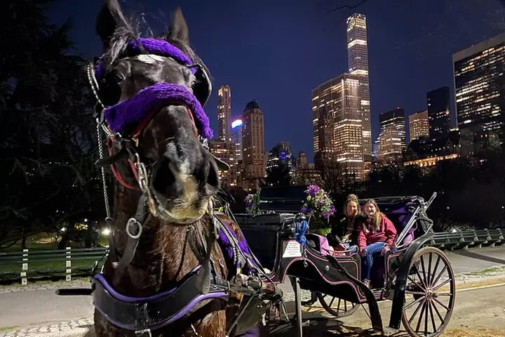 NYC Central Park and Rockefeller Center Private Tour
