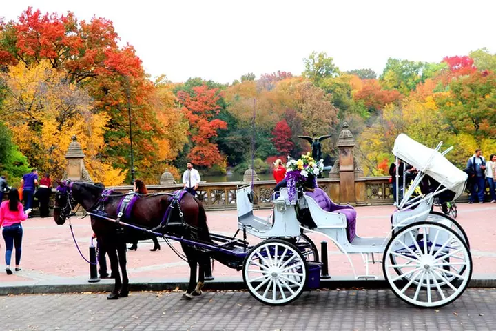 NYC Horse Carriage Ride in Central Park (50 Min. Up to 4 Adults)