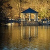 Image 10: Sunset Photography Tour of Piedmont Park Atlanta