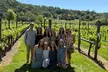 Half Day Join in Group Wine Tasting Tour - Second Medium