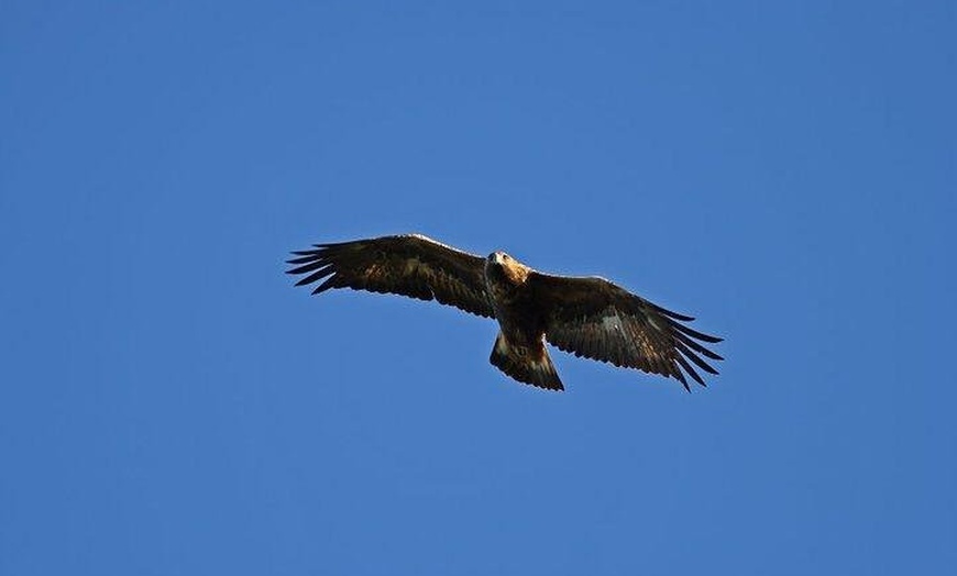 Image 5: Glenaladale Cruise - Great for wizard spotting!