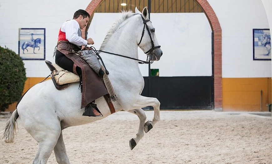 Image 6: Espectáculo de Caballos Andaluces y Flamenco con transporte