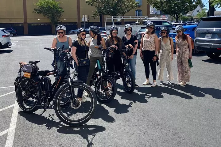 Full Day E-Bike Rental