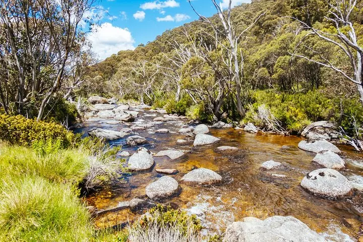 Snowy Mountains NSW Private Tour 3 Days - Pick up & Drop off - Primary Image