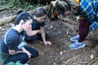 Redwoods Forest Bathing - Second Medium