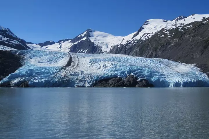 Portage Glacier Cruise and Wildlife Explorer Tour