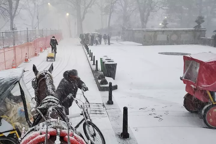 Full loop Private Horse Carriage Ride in Central Park 45 Minutes