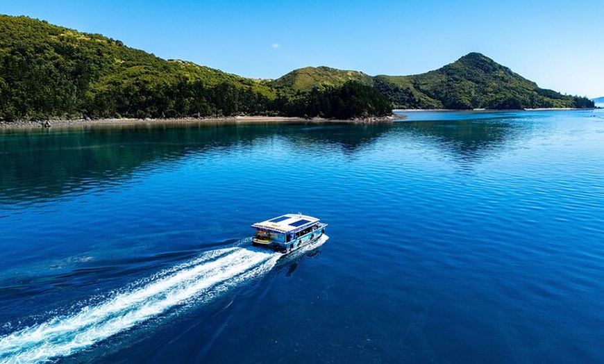 Image 7: Airlie Beach Glass Bottom Boat Tour