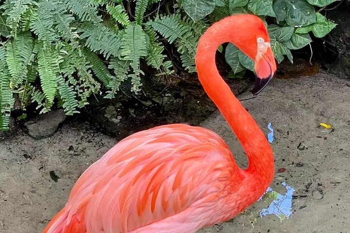 Ft. Lauderdale to Key West Day Trip Quality Day Tours