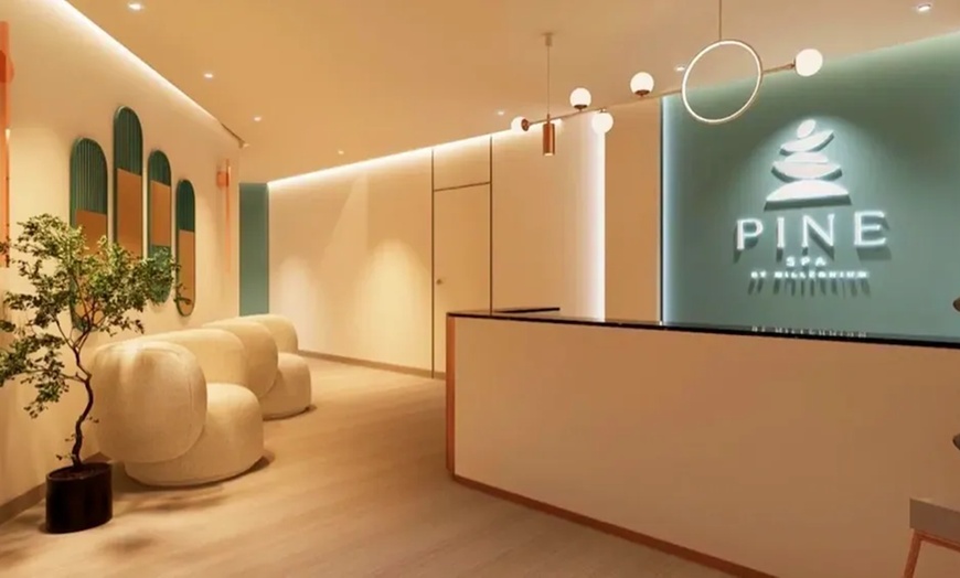 Image 6: ✈ UNITED ARAB EMIRATES | Dubai - Millennium Lakeview Hotel 4*, 2 ni...